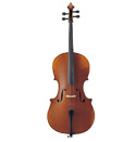 Violoncelli / Contrabbassi